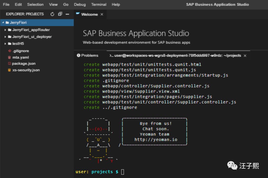 SAP新一代全栈开发工具：SAP Business Application Studio