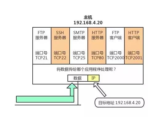 干货 | 终于有人能把TCP/IP 协议讲明白了！