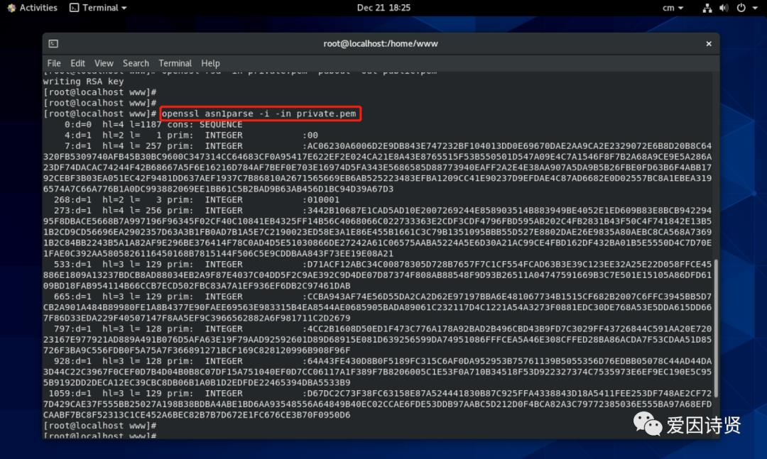 TLS/SSL 协议-非对称加密(RSA)原理