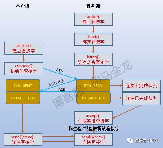 不可不知的socket和TCP连接过程