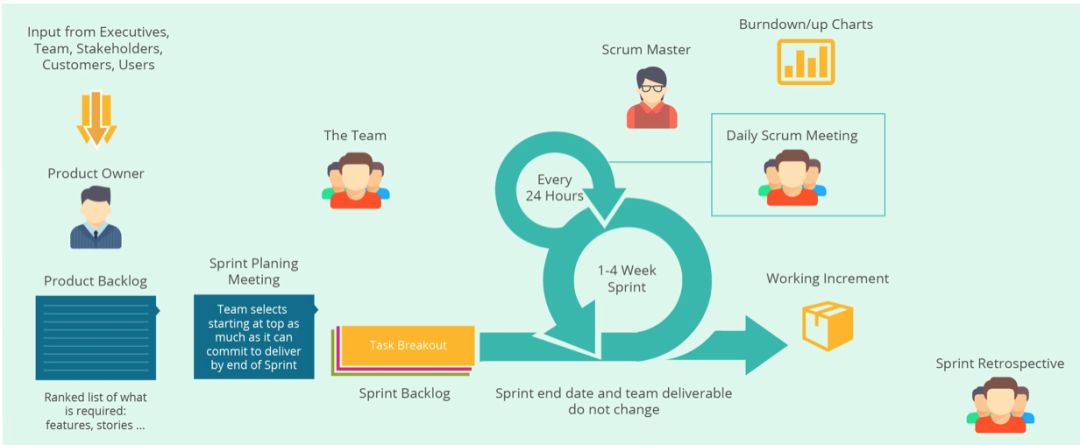 一只猪的 Scrum 开发经历