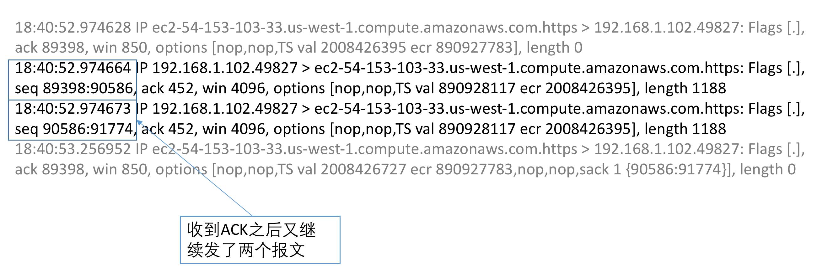 搞明白 WebSocket 与 TCP/IP