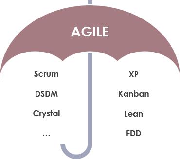 Scrum：我很好，我不是一个敏捷软件开发框架