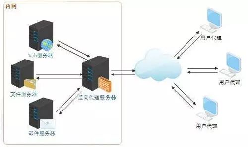 【干货分享】一文看懂Web服务器、应用服务器、Web容器、反向代理服务器区别与联系