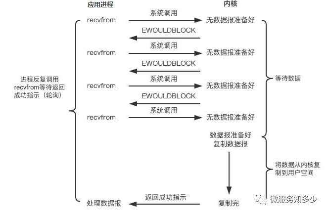 IO 模型知多少