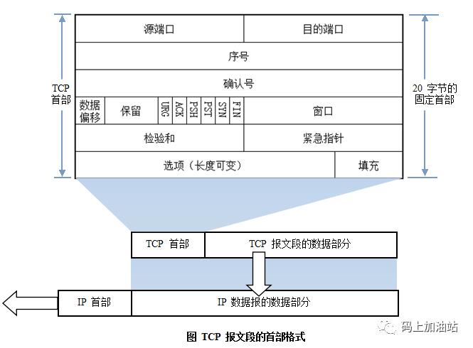 【工具】TCP/IP协议