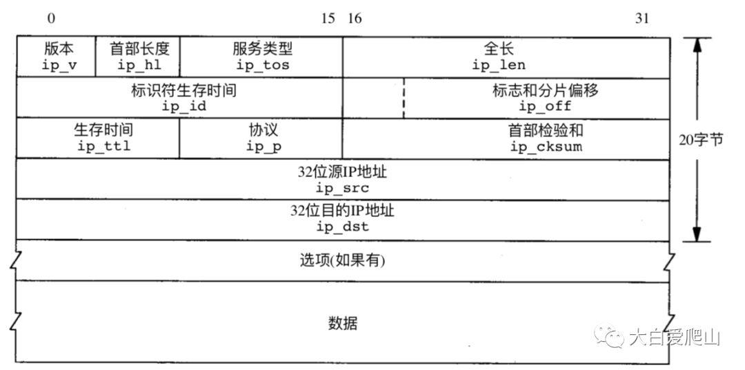 概说《TCP/IP详解 卷2》第8章 IP：网际协议