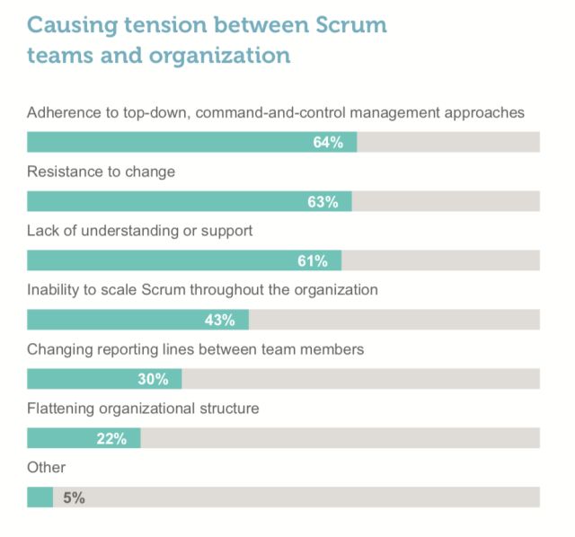 Scrum行业报告 2017-2018摘要