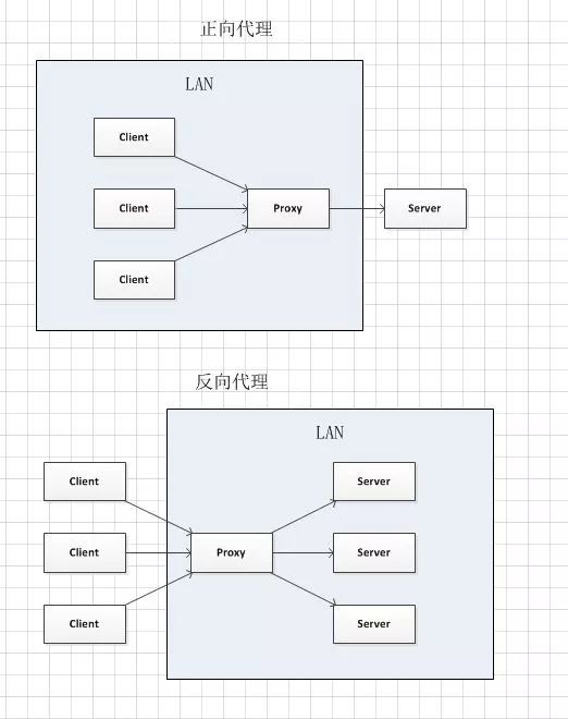 超级蜘蛛之正向代理与反向代理