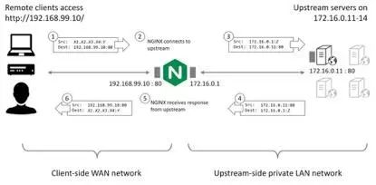 Udp的反向代理：nginx