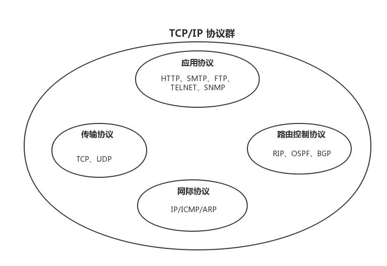 重学 TCP/IP 协议