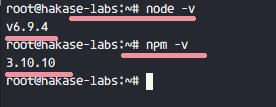 如何在 Ubuntu 上使用 pm2 和 Nginx 部署 Node.js 应用