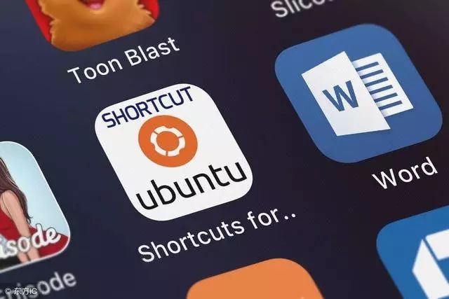 Ubuntu vs Mint：哪个更好？