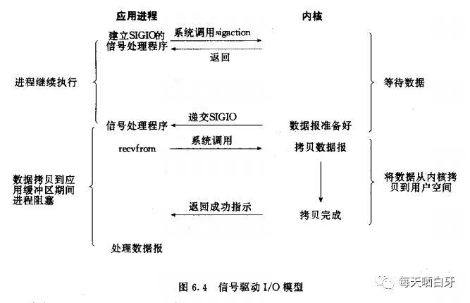 介绍下你知道的IO模型？