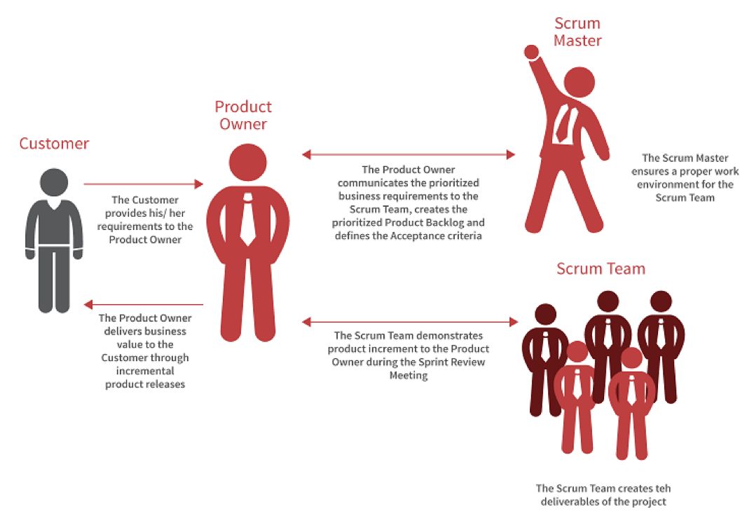 一只猪的 Scrum 开发经历