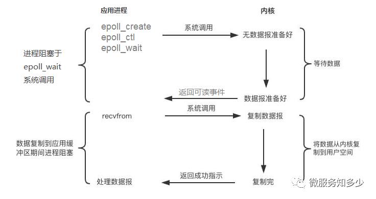 IO 模型知多少