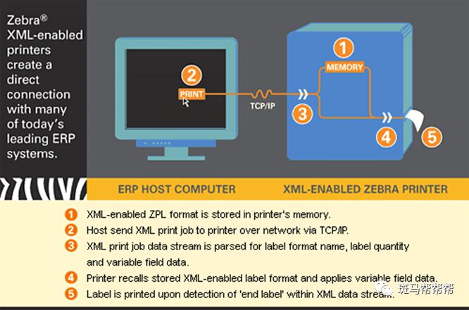 Zebra XML 数据直接打印