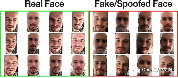 OpenCV活体检测
