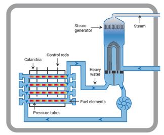 Nuclear Reactor