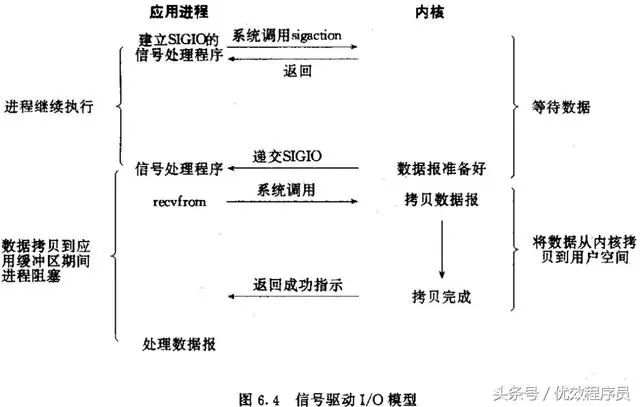 编程面试IO模型有几种？分别是什么？