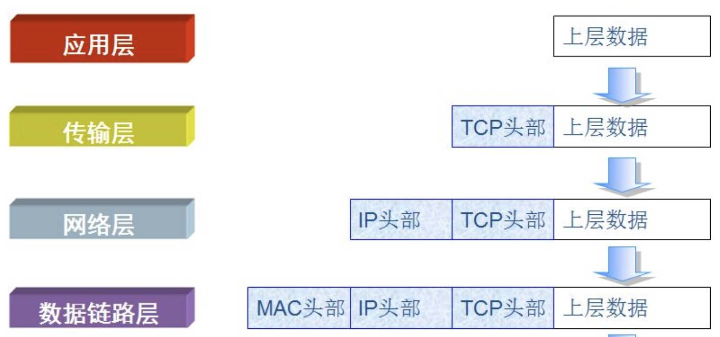 TCP/IP 和 HTTP不了解？看完这篇文章，网络知识就全懂了