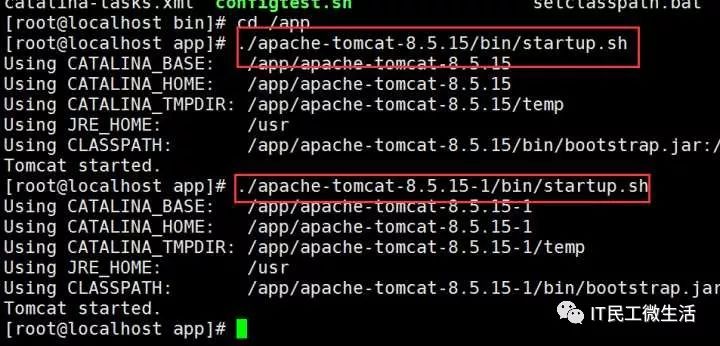 tomcat+nginx实现反向代理和负载均衡