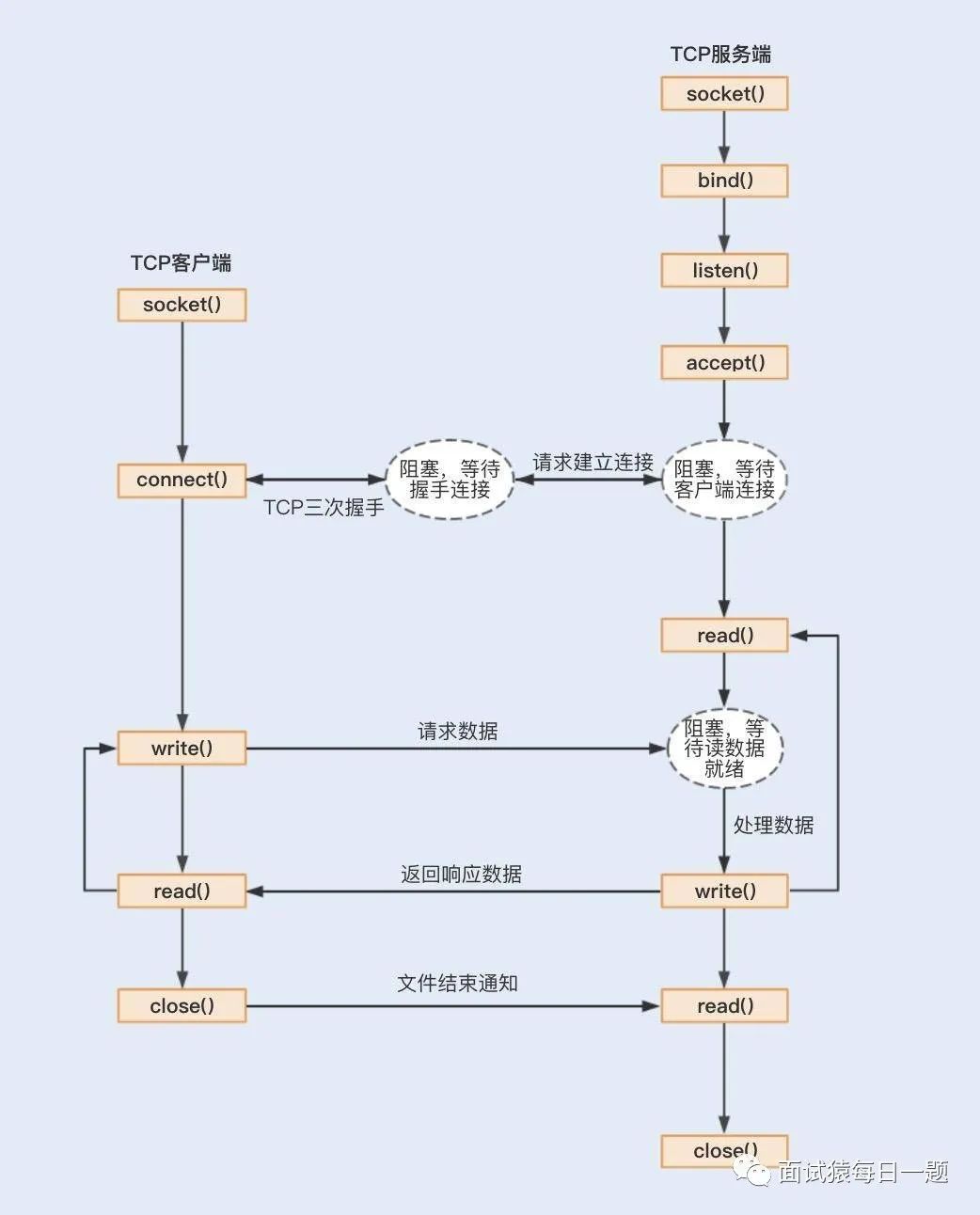 什么是C10K问题，聊聊网络IO模型如何优化该问题