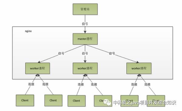 Nginx搭建反向代理服务器过程详解