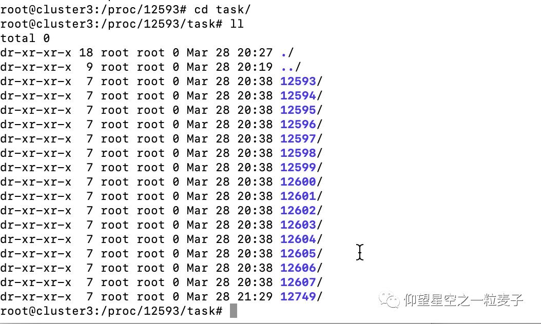 Socket之IO系统调用详解