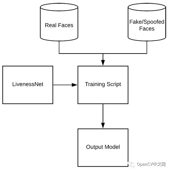 OpenCV活体检测