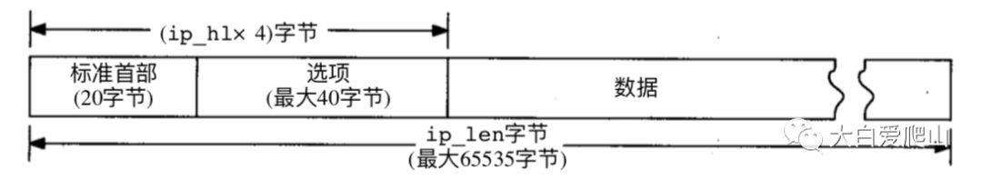 概说《TCP/IP详解 卷2》第8章 IP：网际协议