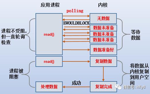 五种IO模型分析