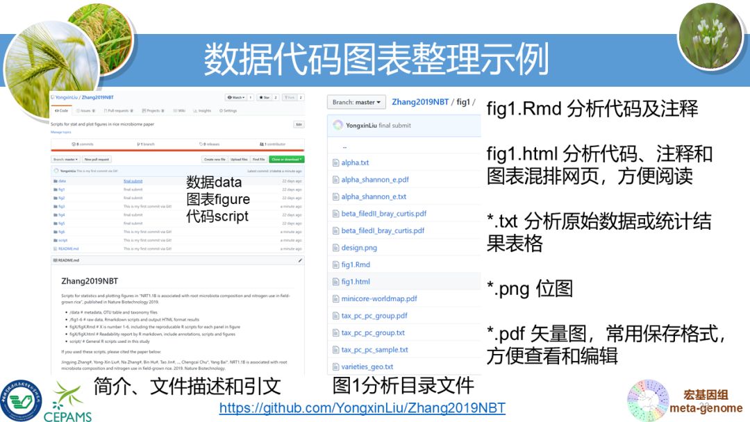 R语言大会：宏基因组数据分析和可视化套路总结