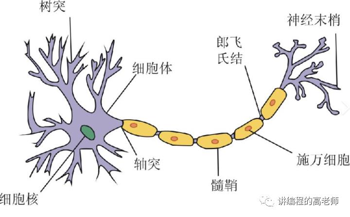 神经网络的模型表示之1—ML Note46