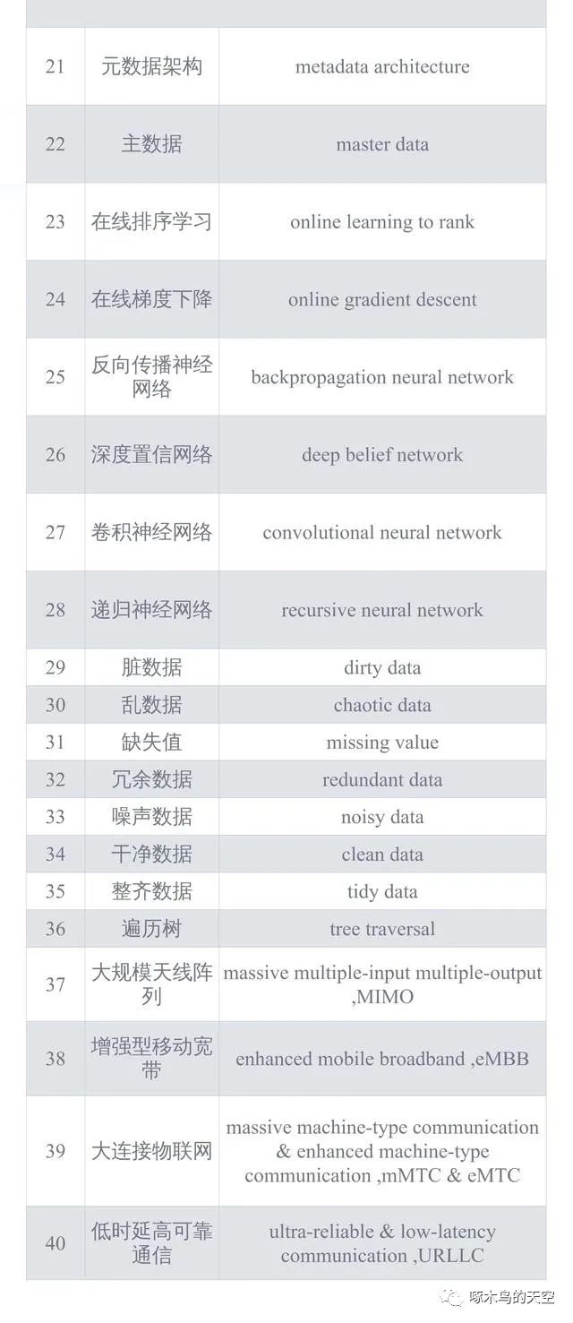 大数据新词（中英对照）发布试用