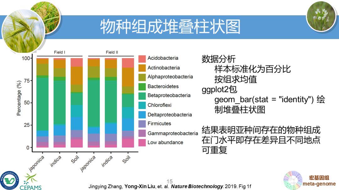 R语言大会：宏基因组数据分析和可视化套路总结