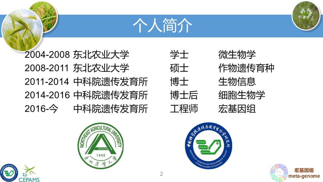 R语言大会：宏基因组数据分析和可视化套路总结