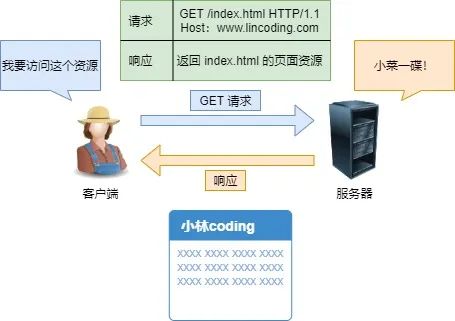 图解 HTTP 常见面试题！亲手绘制！