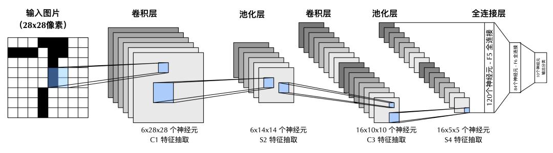 大脑神经网络：不完美的“民主社会”