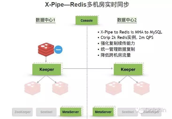 前方高能--海豚汇大批干货来袭！【消息队列&Redis架构及调优】