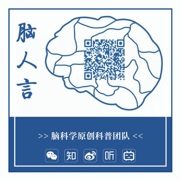 脑科学研究中的数据分析与建模征文活动