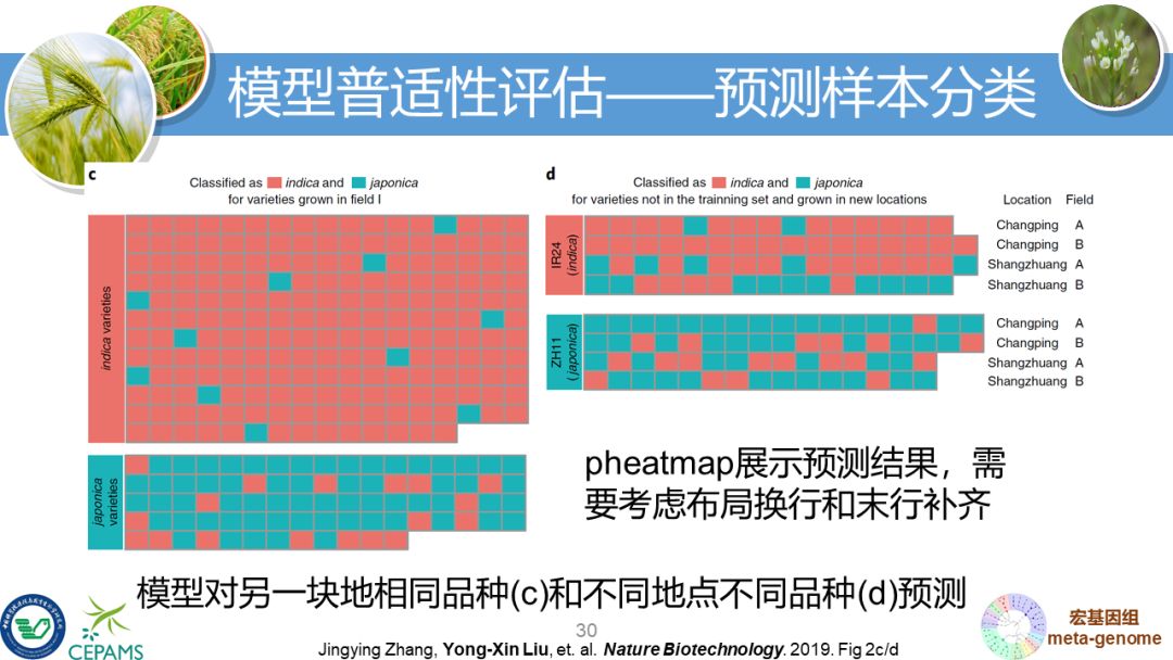 R语言大会：宏基因组数据分析和可视化套路总结