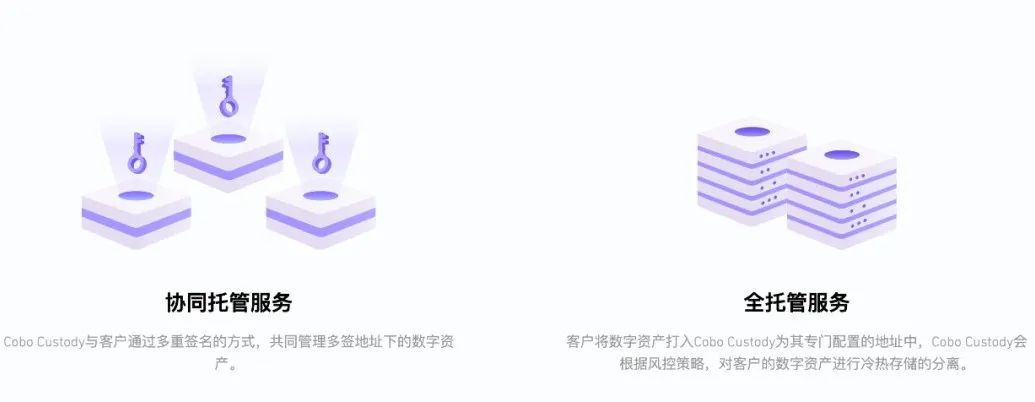 区块链创业「晴雨表」——Cobo Custody 的上半年