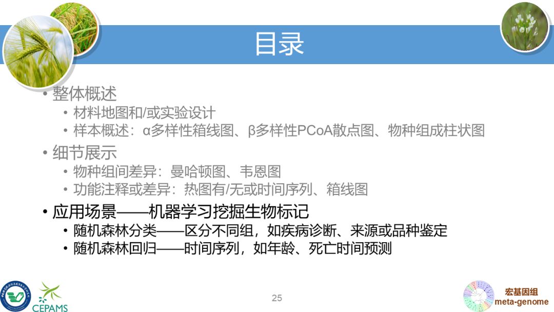 R语言大会：宏基因组数据分析和可视化套路总结