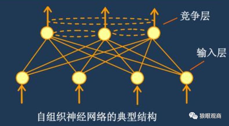 任昱衡：（一）看自组织神经网络如何又快又好的解决旅行商问题