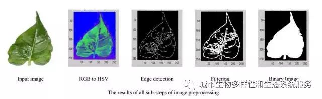 基于前馈神经网络和支持向量机分类器的叶片识别