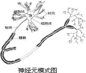 人工智能又赢了，要不要准备领退休金？