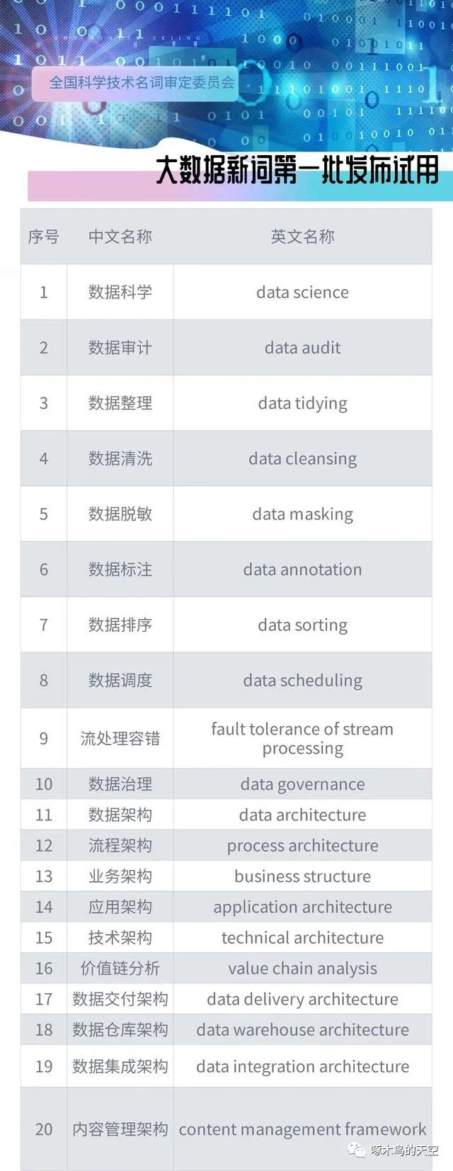 大数据新词（中英对照）发布试用