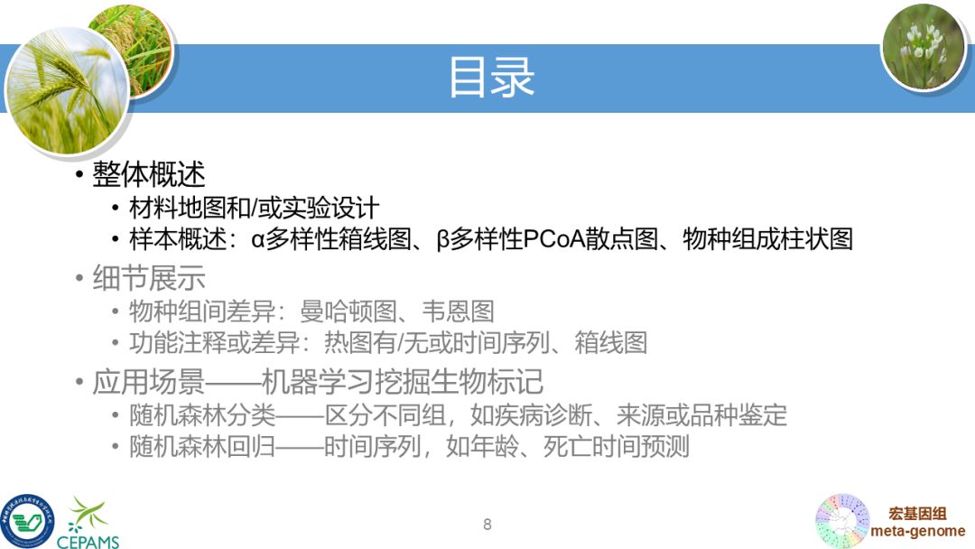 R语言大会：宏基因组数据分析和可视化套路总结