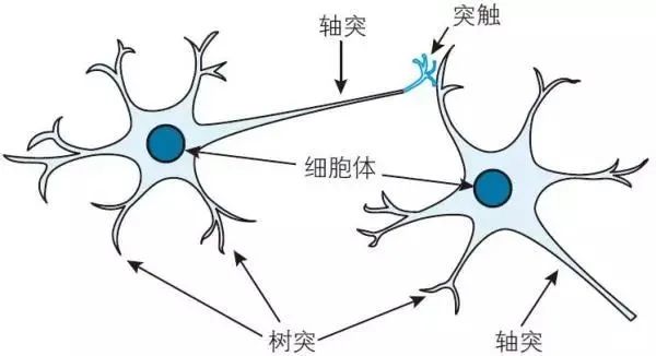 神经网络原来是这样和数学挂钩的